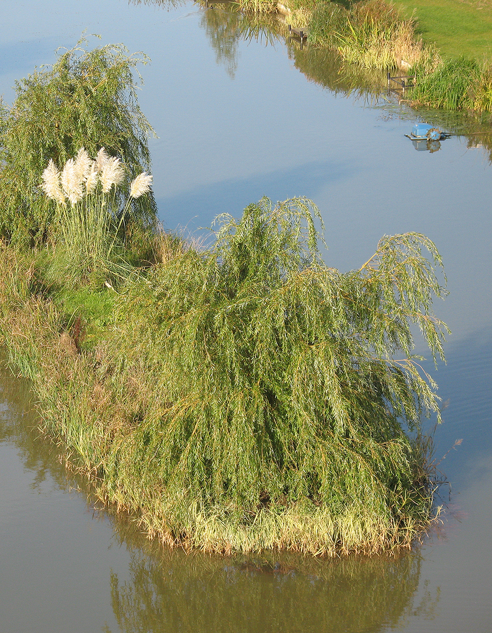 Kingfisher Lake Westwood Lakes